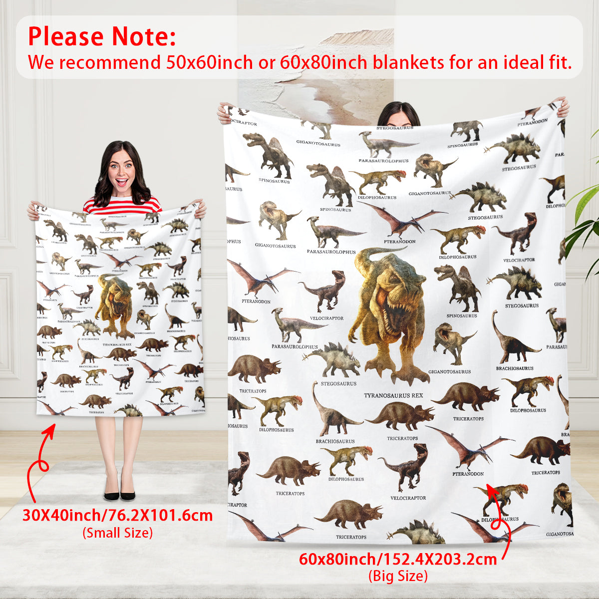 Cartoon Dinosaur Blanket