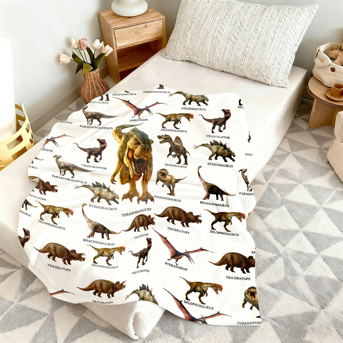 Cartoon Dinosaur Blanket