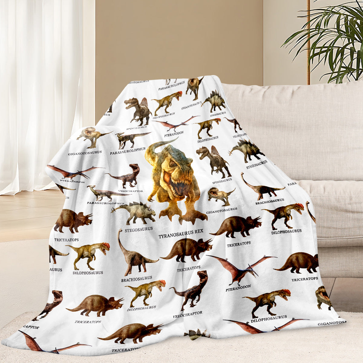 Cartoon Dinosaur Blanket