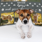 Custom Pet Memorial Blanket