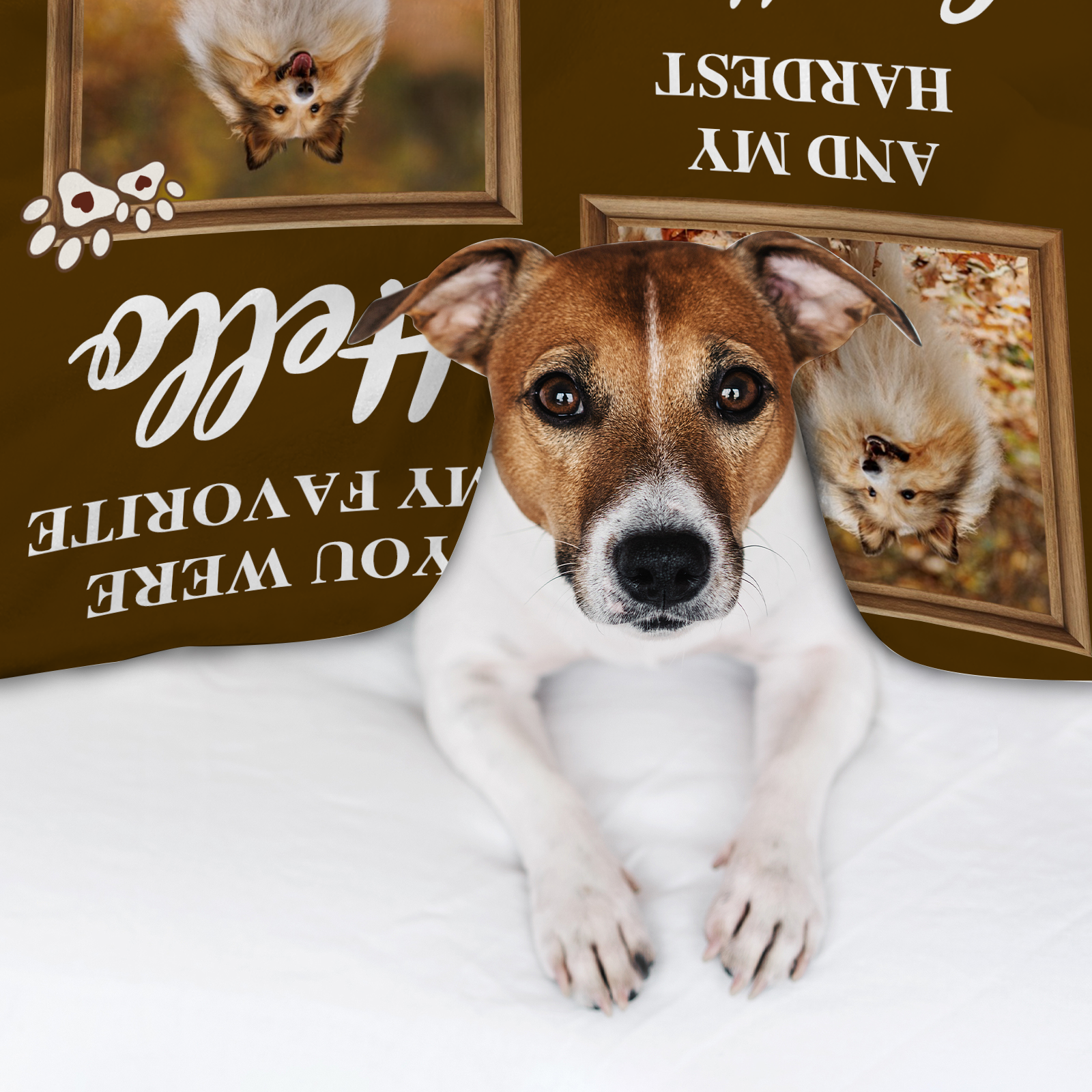 Custom Pet Memorial Blanket